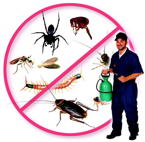 Pest Control Service, Nets $100,000, No Employees.